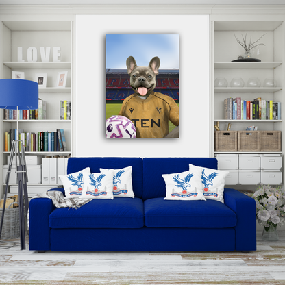 Your Pet in a Crystal Palace 25/26 Away Shirt