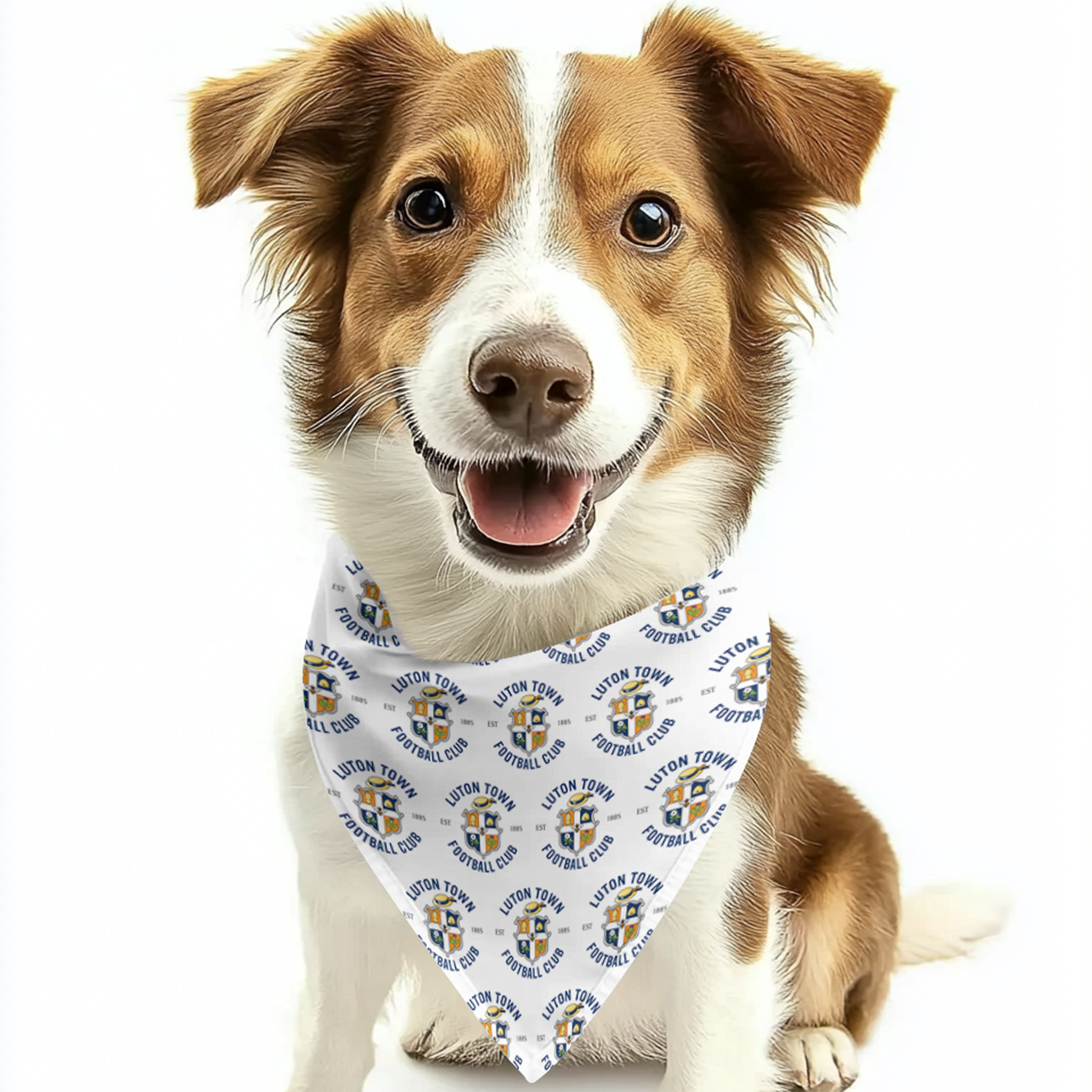 LTFC Dog Bandana