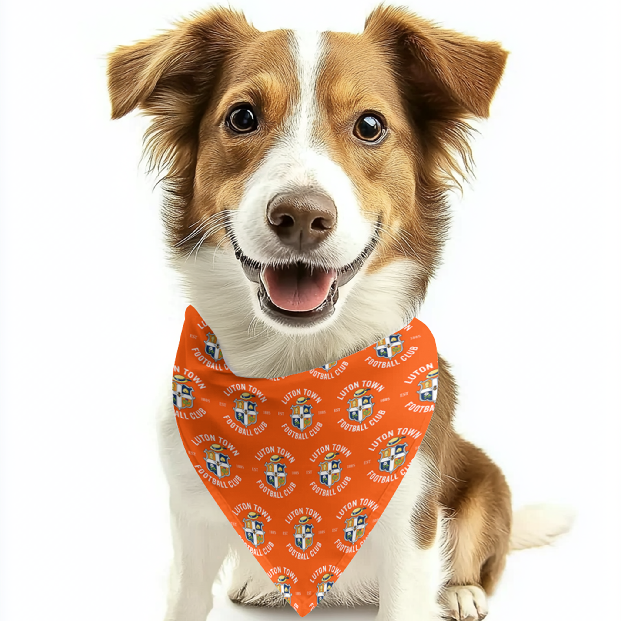 LTFC Dog Bandana