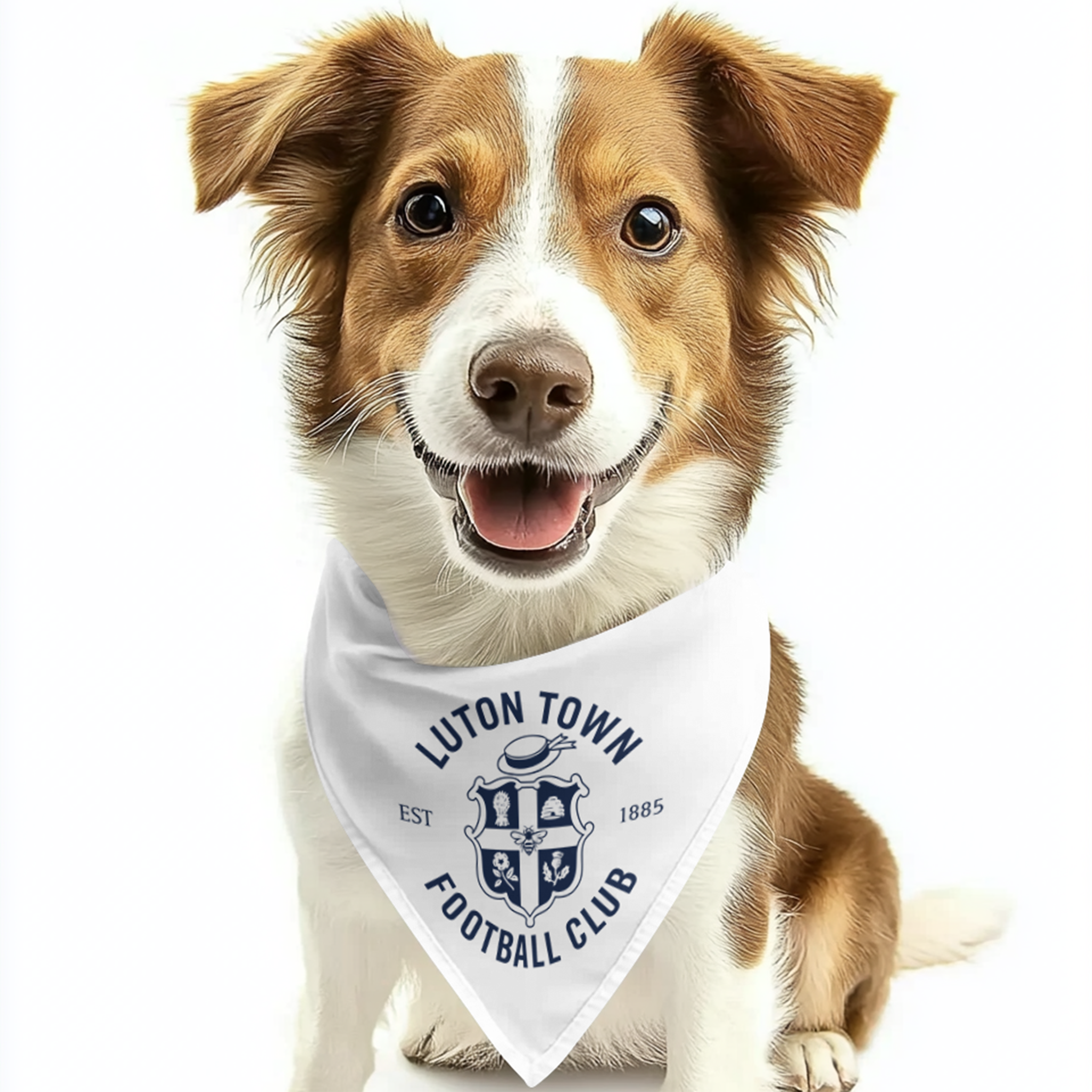 LTFC Dog Bandana