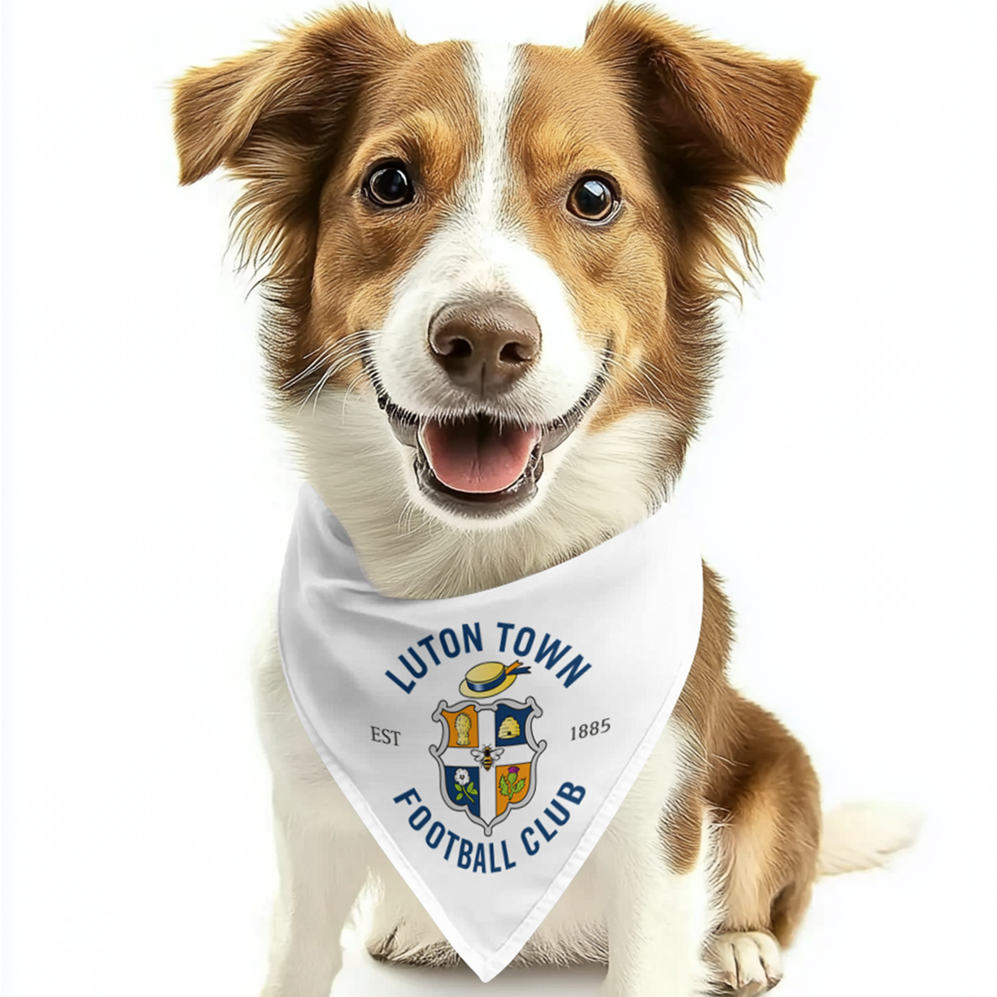 LTFC Dog Bandana