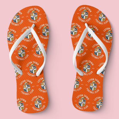 LTFC Flip Flops