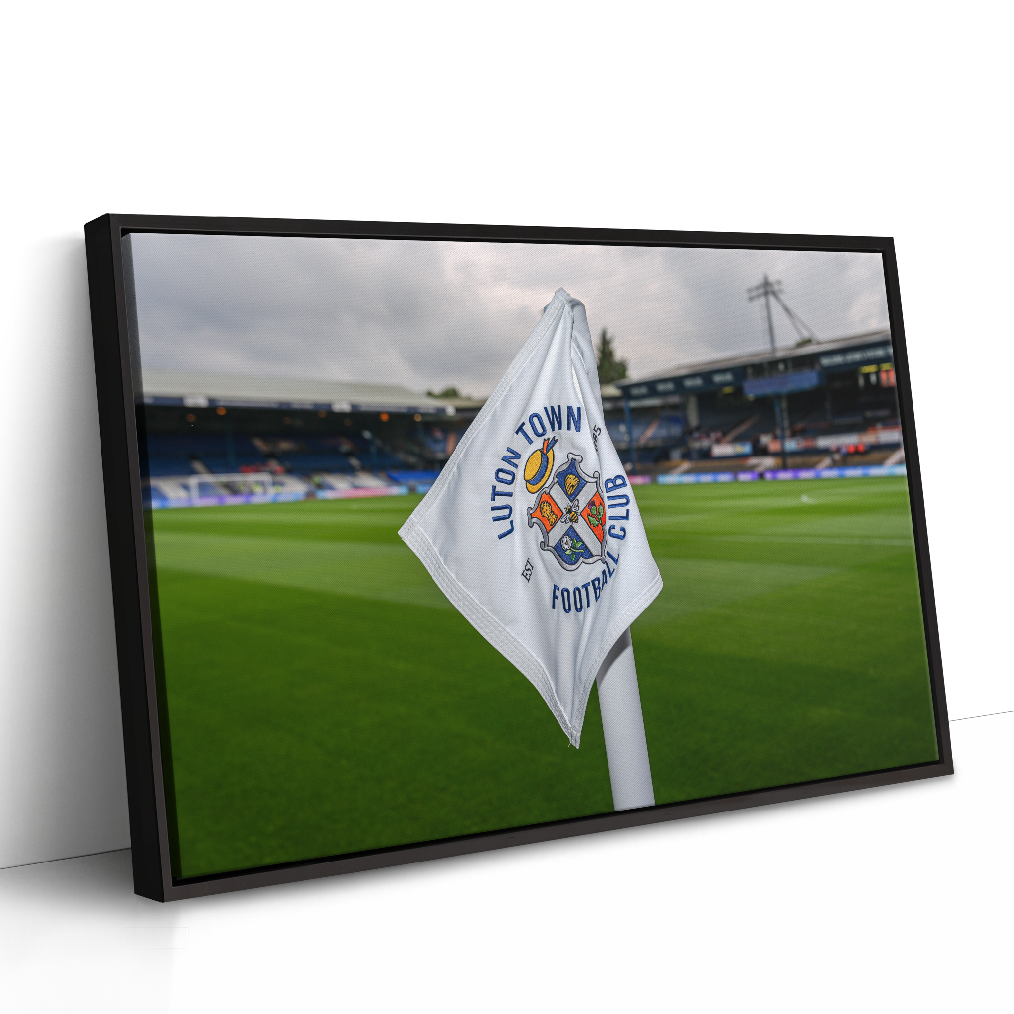 LTFC Ground Image #5