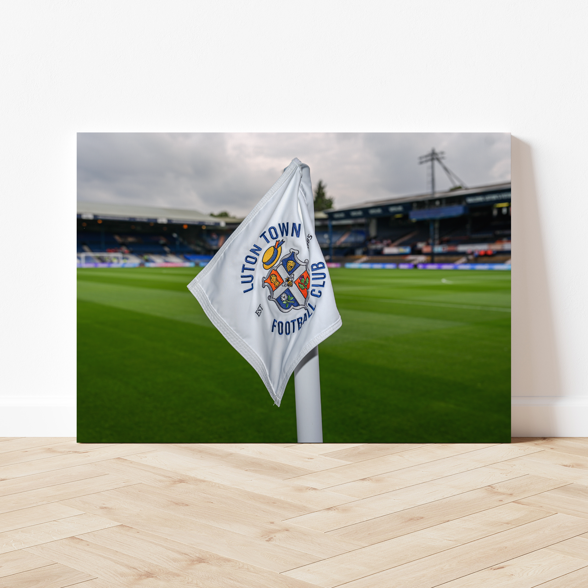 LTFC Ground Image #5