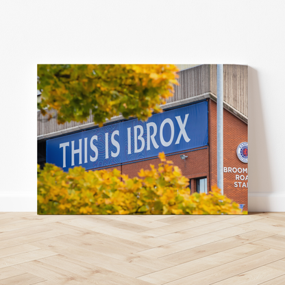 RFC Ibrox Stadium IMG #8