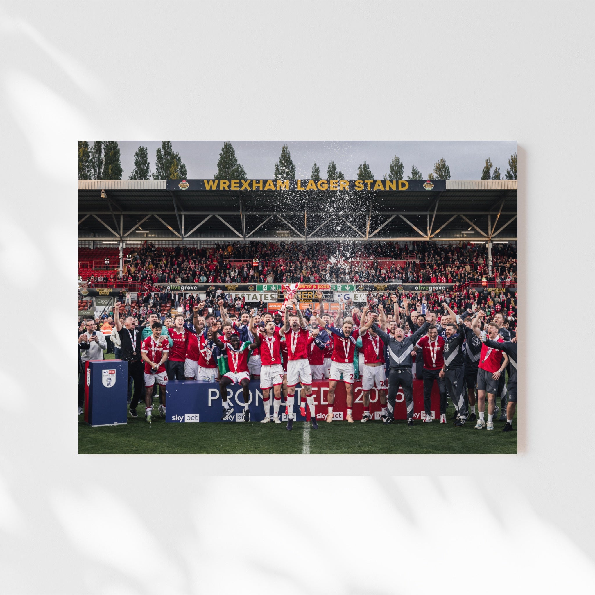 WAFC Celebrations #10