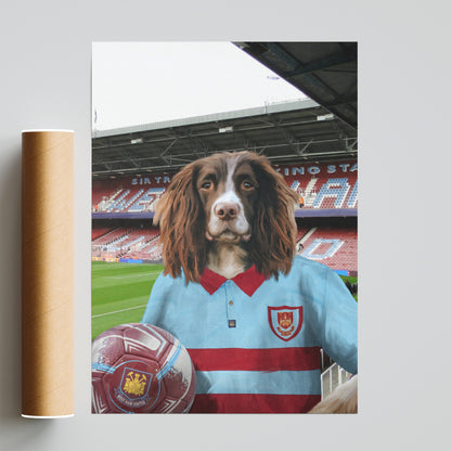 Your Pet in a West Ham Retro Shirt