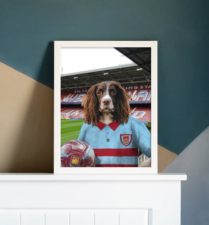 Your Pet in a West Ham Retro Shirt