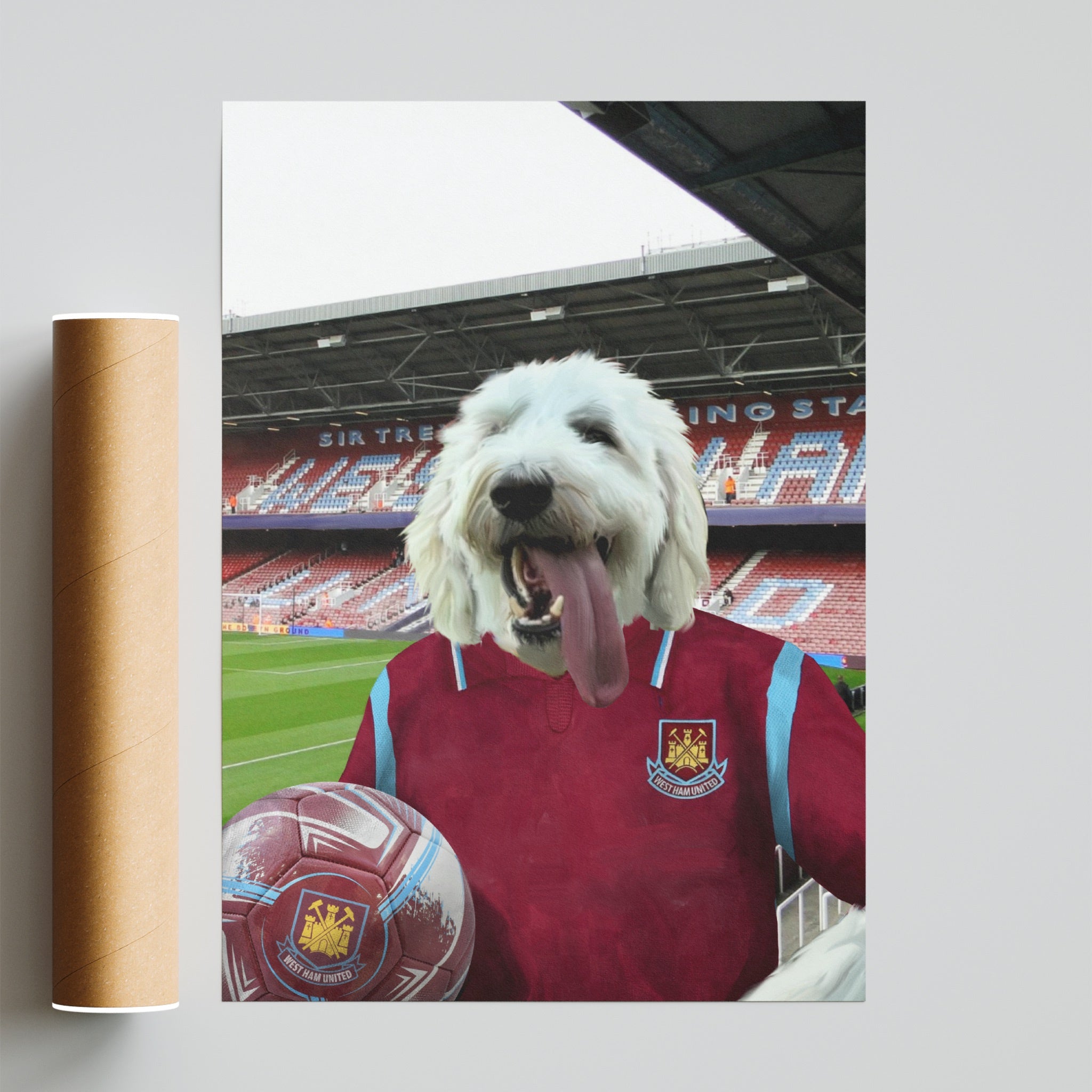 Your Pet in a West Ham Retro Shirt