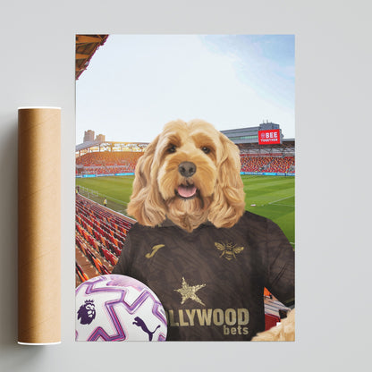 Your Pet in a Brentford FC Away 25/26 Adult Shirt