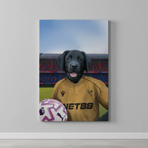 Your Pet in a Crystal Palace 25/26 Away Shirt