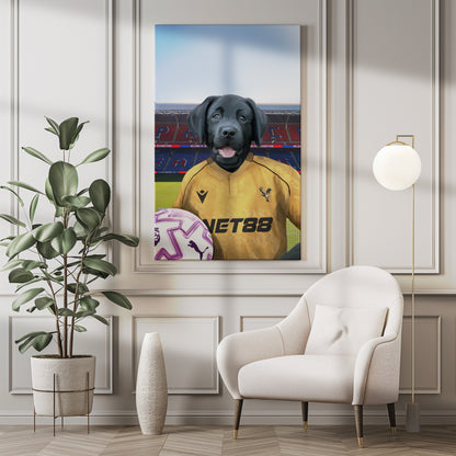 Your Pet in a Crystal Palace 25/26 Away Shirt