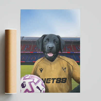 Your Pet in a Crystal Palace 25/26 Away Shirt