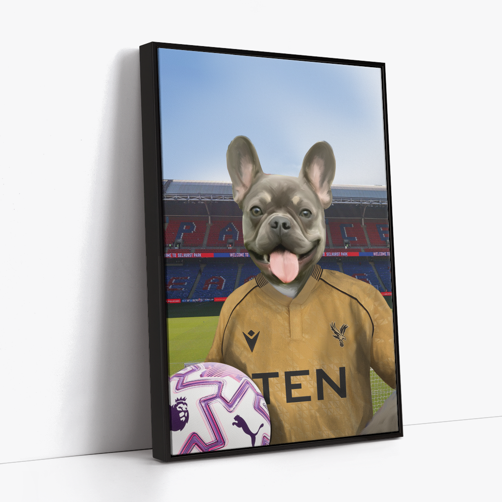 Your Pet in a Crystal Palace 25/26 Away Shirt