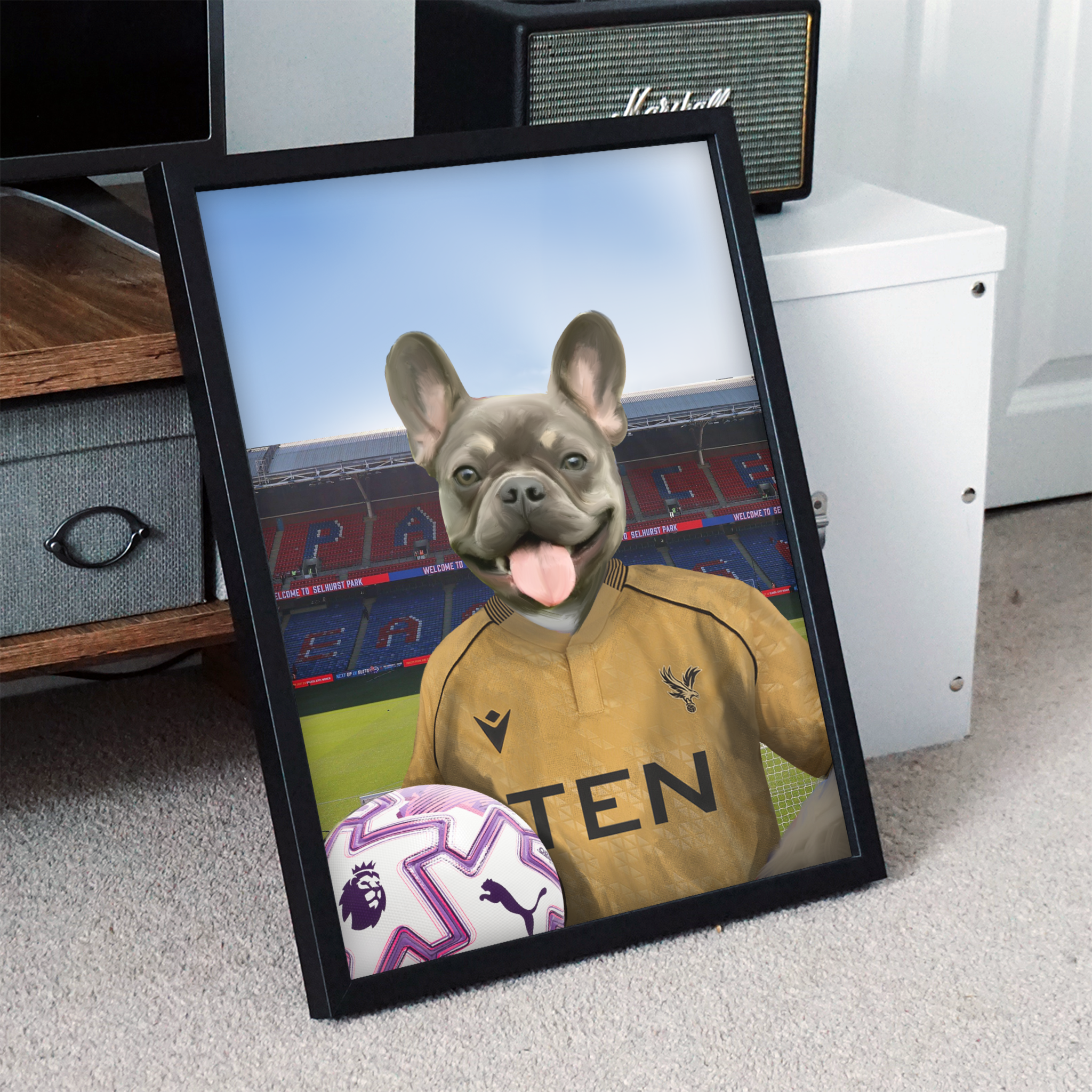 Your Pet in a Crystal Palace 25/26 Away Shirt