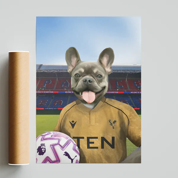 Your Pet in a Crystal Palace 25/26 Away Shirt