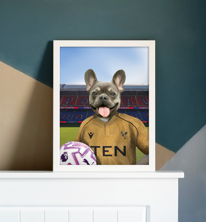 Your Pet in a Crystal Palace 25/26 Away Shirt