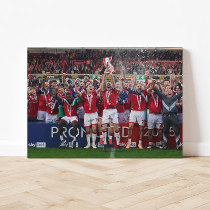 WAFC Celebrations #3