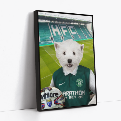 Your Pet in a Hibernian Retro Shirt