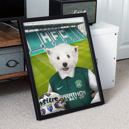 Your Pet in a Hibernian Retro Shirt