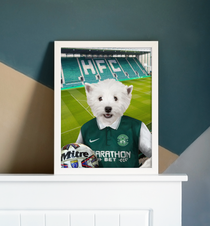 Your Pet in a Hibernian Retro Shirt