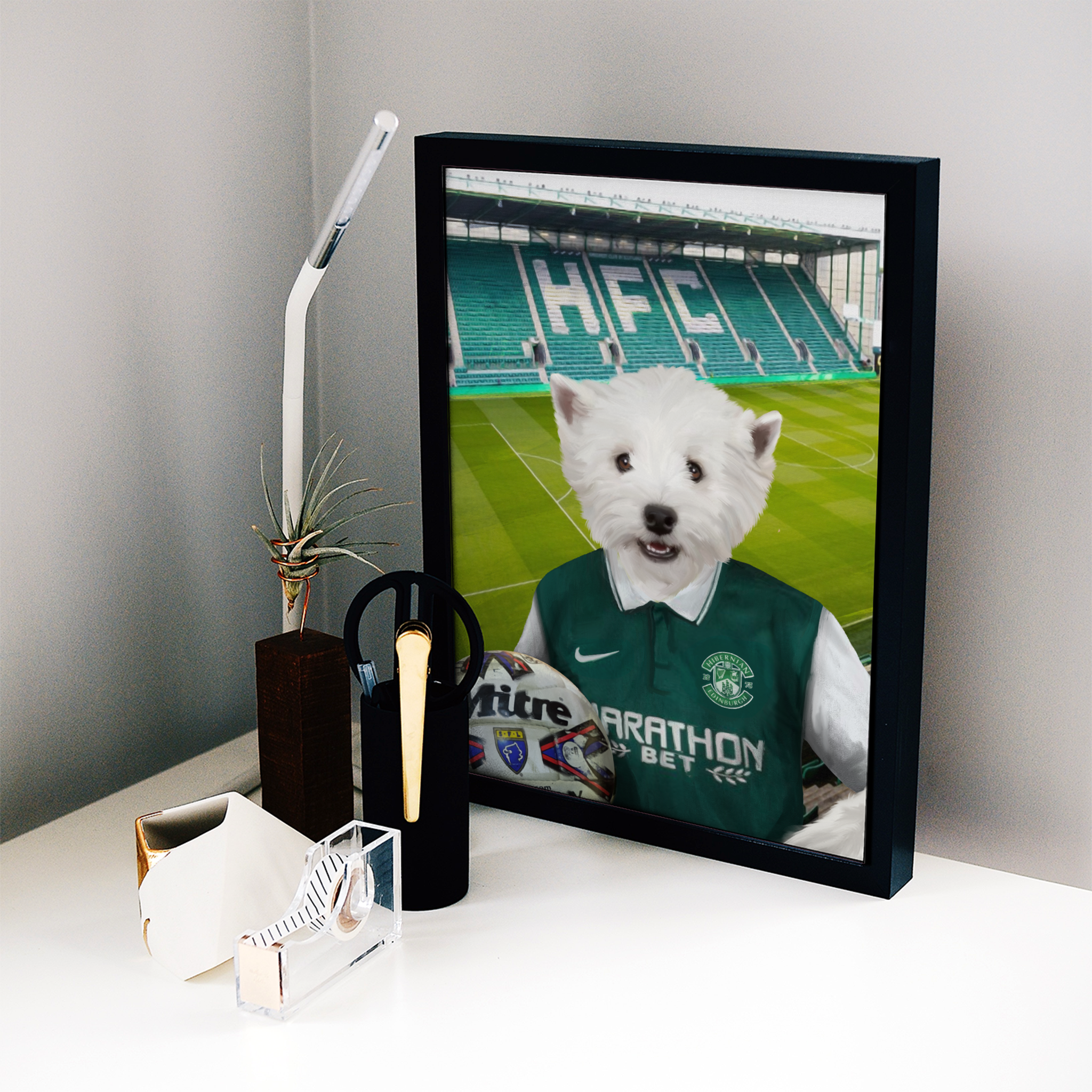 Your Pet in a Hibernian Retro Shirt