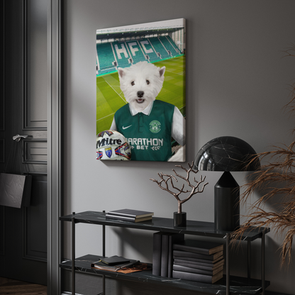 Your Pet in a Hibernian Retro Shirt