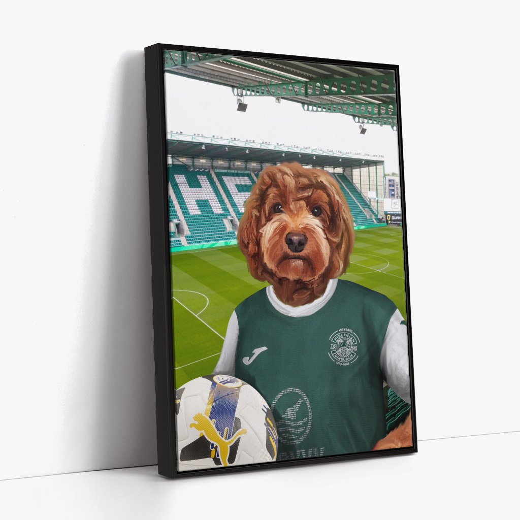 Your Pet in a Hibernian Home 25/26 Shirt
