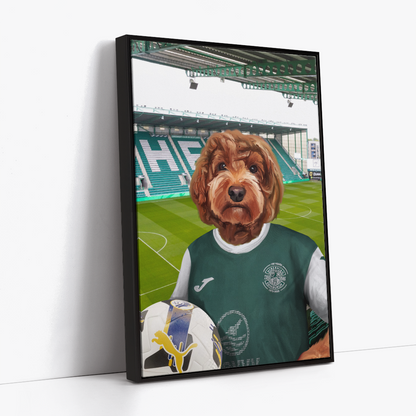 Your Pet in a Hibernian Home 25/26 Shirt