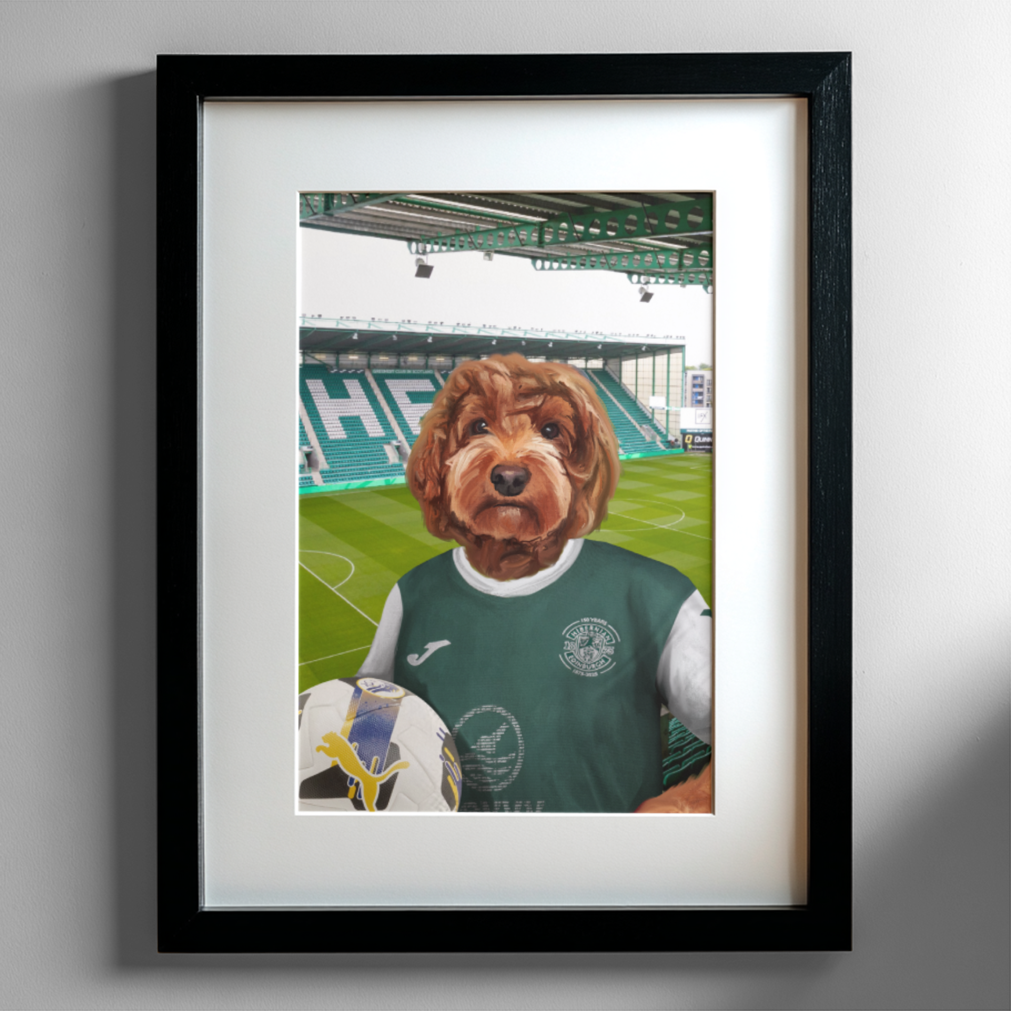 Your Pet in a Hibernian Home 25/26 Shirt