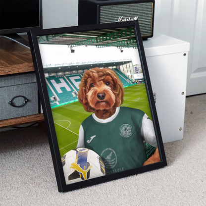 Your Pet in a Hibernian Home 25/26 Shirt
