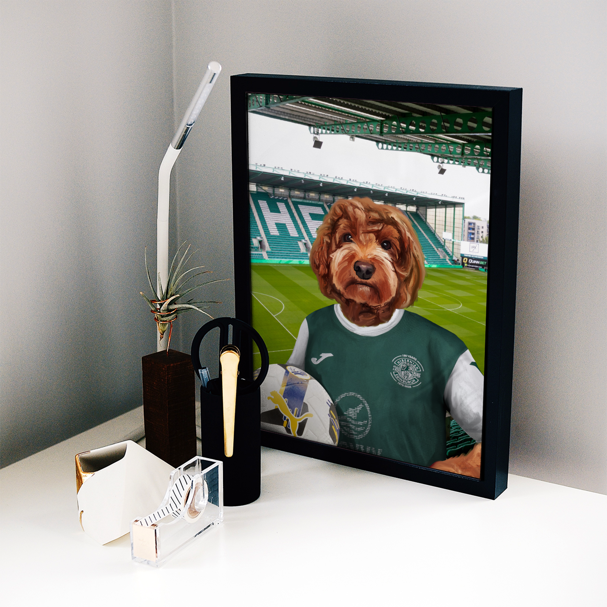 Your Pet in a Hibernian 25/26 Home Shirt
