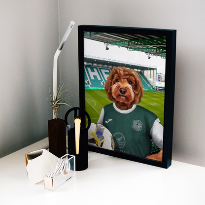 Your Pet in a Hibernian 25/26 Home Shirt