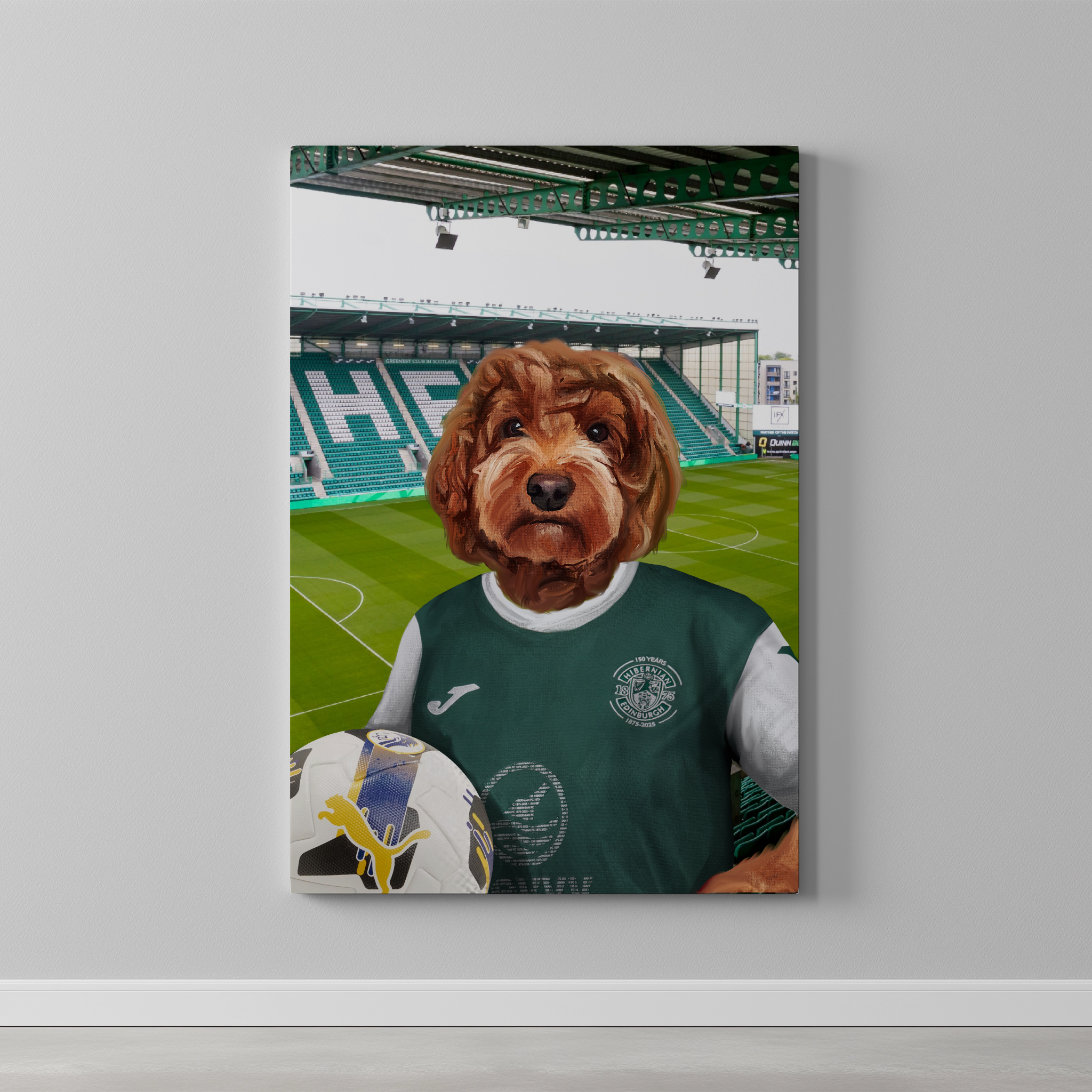 Your Pet in a Hibernian 25/26 Home Shirt