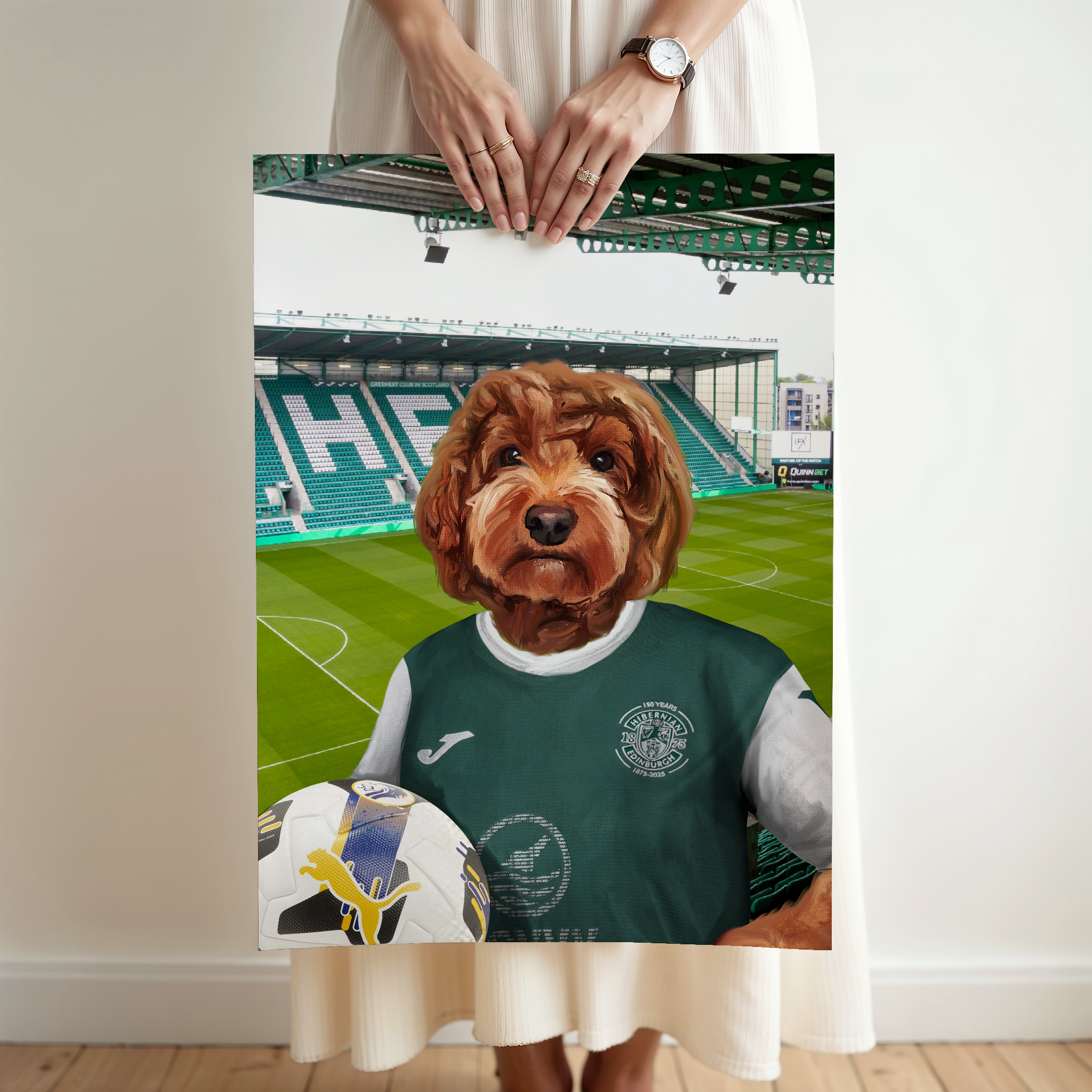 Your Pet in a Hibernian 25/26 Home Shirt