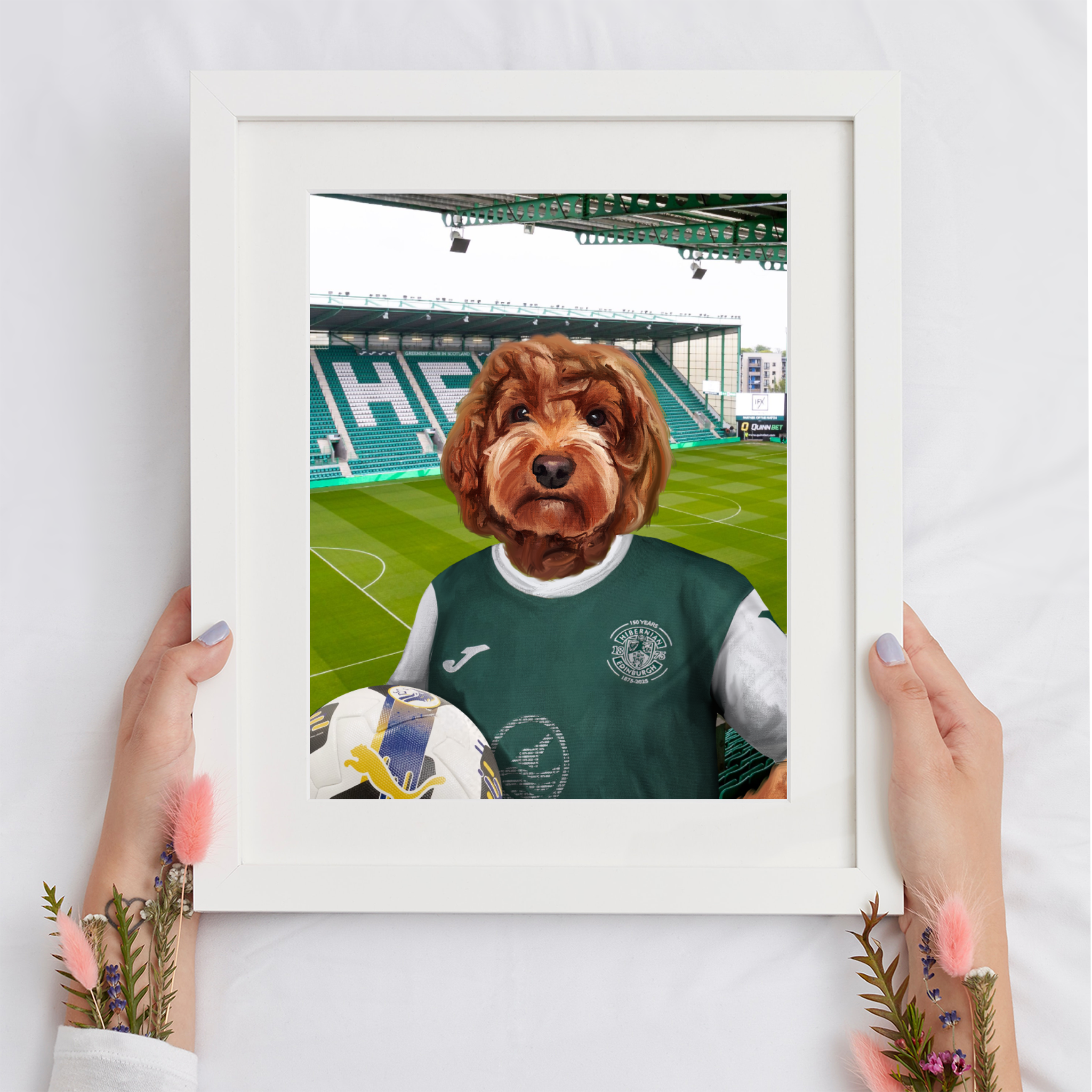 Your Pet in a Hibernian Home 25/26 Shirt