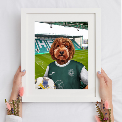 Your Pet in a Hibernian Home 25/26 Shirt