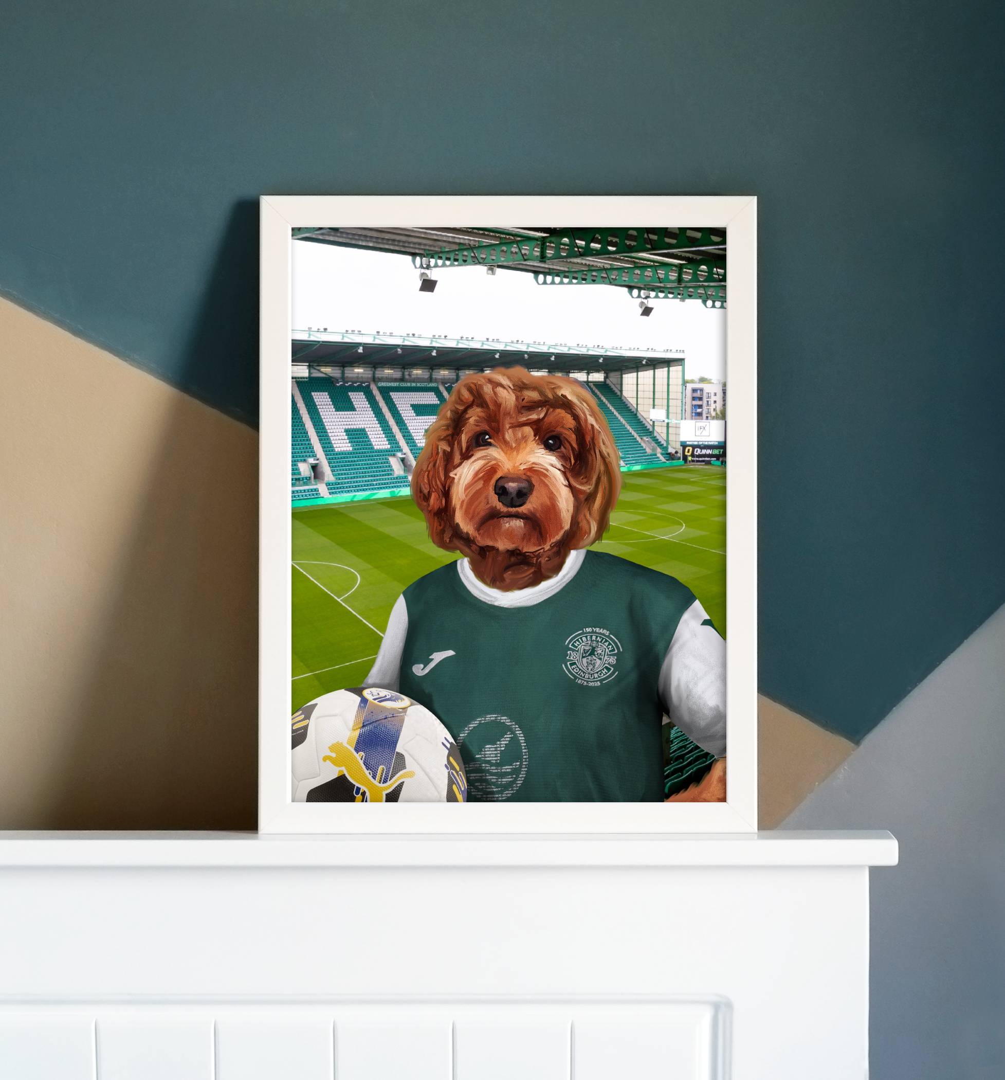Your Pet in a Hibernian Home 25/26 Shirt