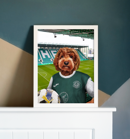 Your Pet in a Hibernian Home 25/26 Shirt