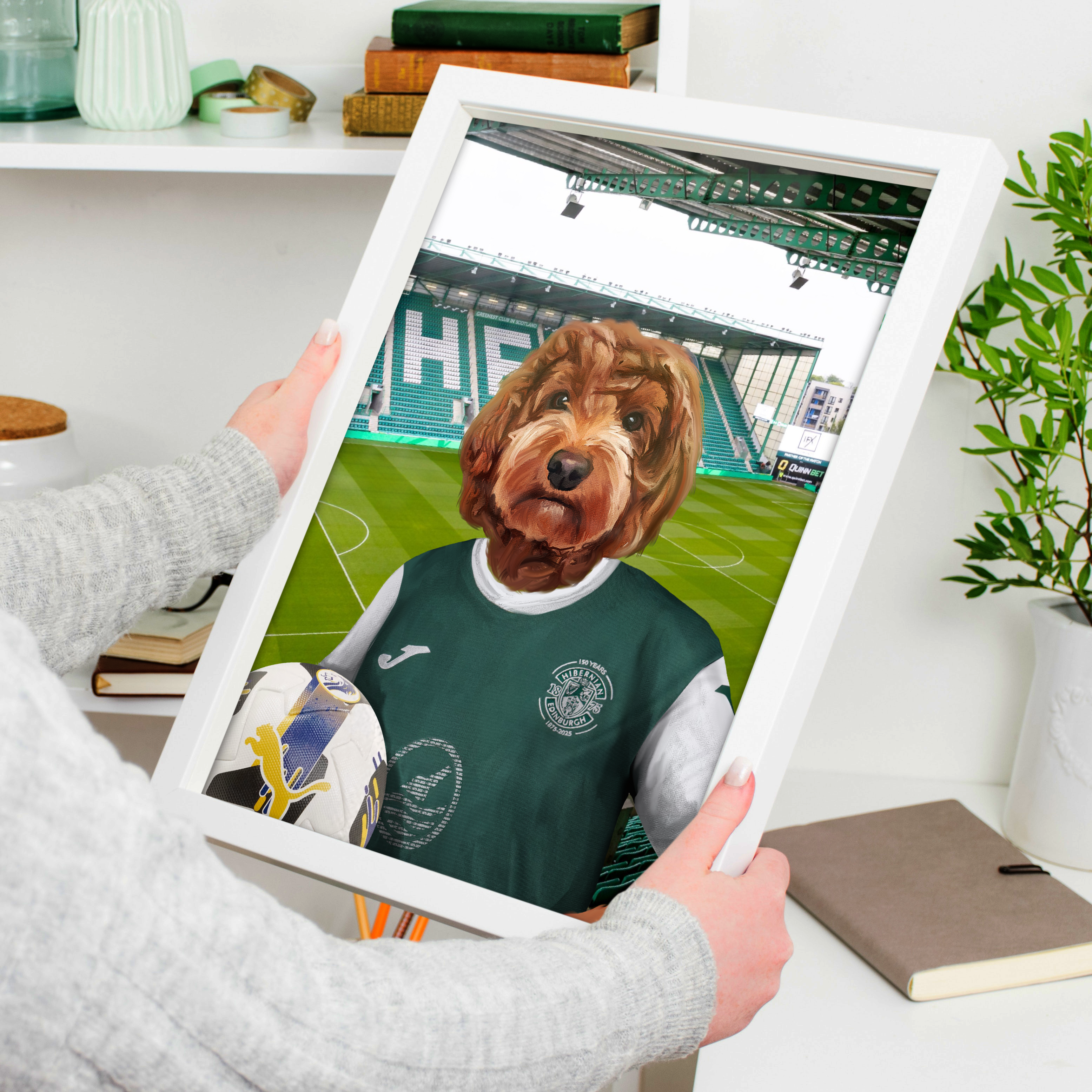 Your Pet in a Hibernian 25/26 Home Shirt