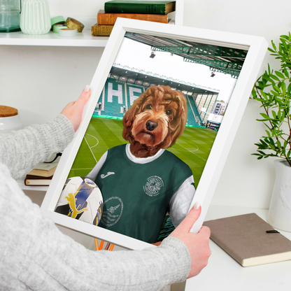 Your Pet in a Hibernian 25/26 Home Shirt