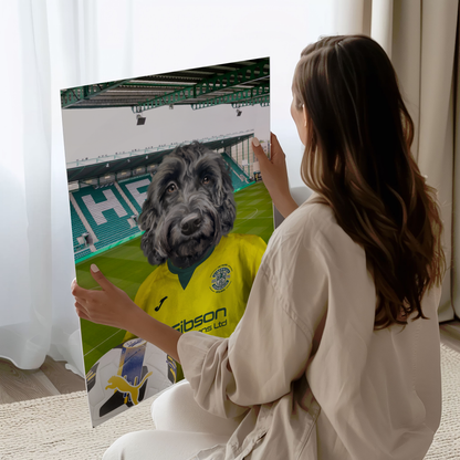 Your Pet in a Hibernian 25/26 Away Shirt