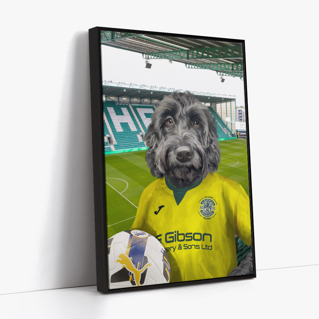 Your Pet in a Hibernian 25/26 Away Shirt