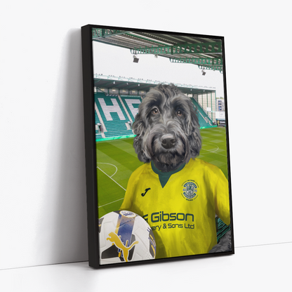Your Pet in a Hibernian 25/26 Away Shirt