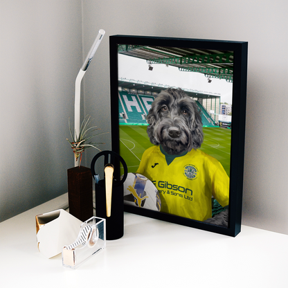 Your Pet in a Hibernian 25/26 Away Shirt