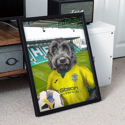 Your Pet in a Hibernian 25/26 Away Shirt