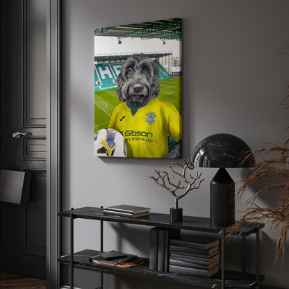 Your Pet in a Hibernian 25/26 Away Shirt