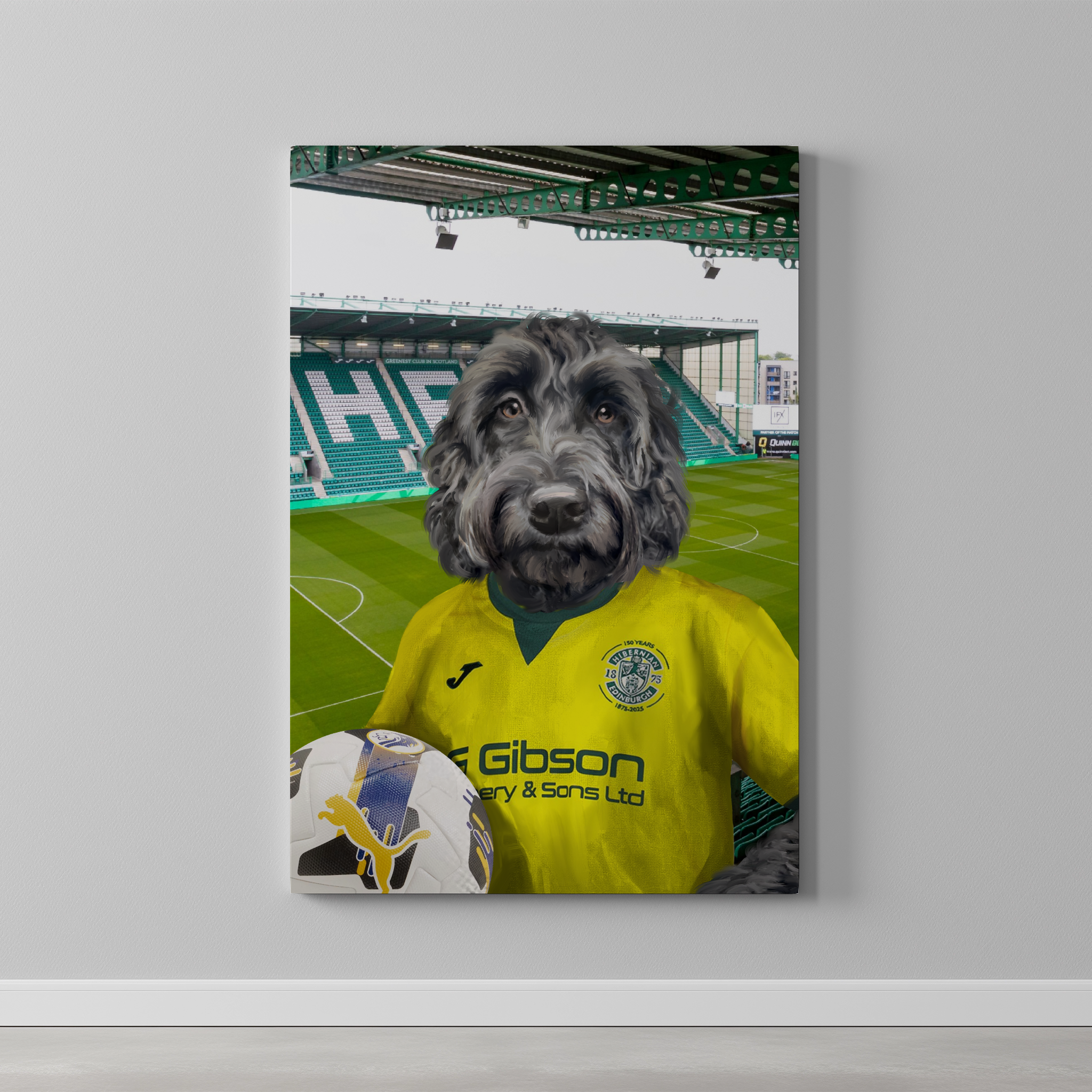 Your Pet in a Hibernian 25/26 Away Shirt