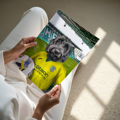 Your Pet in a Hibernian 25/26 Away Shirt