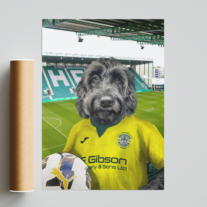 Your Pet in a Hibernian 25/26 Away Shirt